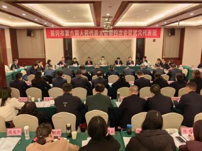 【黄冈“两会”传真】刘洁参加武穴代表团审议时强调：发挥比较优势 加快发展步伐 全力冲刺全国百强 以一域之光为黄冈全局添彩
