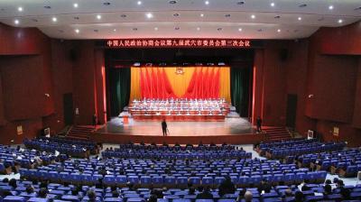 聚焦两会 | 政协第九届武穴市委员会第三次会议胜利闭幕