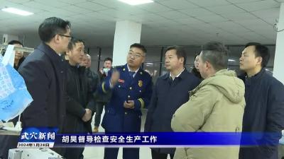 胡吴督导检查安全生产工作