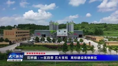 贯彻落实两会精神 | 花桥镇：一区四带 五大支柱 高标准建设高铁新区