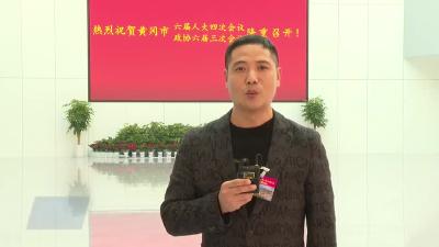 武穴代表团:  脚踏实地加油干 以更大力度推动各项工作出圈出彩 走在前列