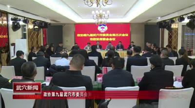 政协第九届武穴市委员会第三次会议召开市政协常委会会议