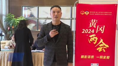 聚焦黄冈两会|携“民声”谋良策武穴代表团信心满满赴盛会