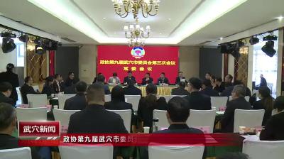 政协第九届武穴市委员会第三次会议召开常委会议