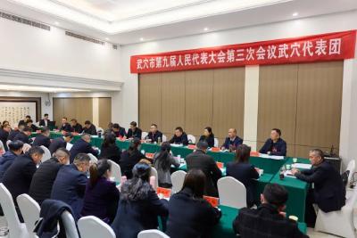 聚焦两会 | 查俊参加武穴、大法寺代表团审议