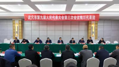 聚焦两会 | 胡昊参加梅川、田家镇、石佛寺、四望、万丈湖、刊江代表团审议