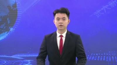武穴市第九届人民代表大会第三次会议举行各代表团召集人会议