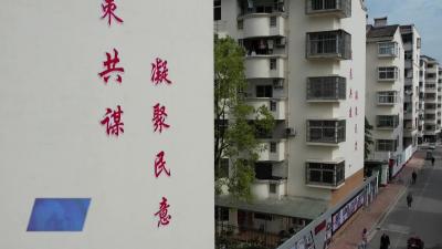 梅园小区系列报道之六：“梅”好生活  有你有我