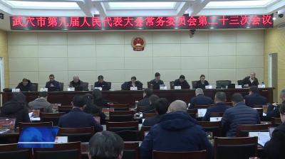 市第九届人大常委会第二十三次会议召开