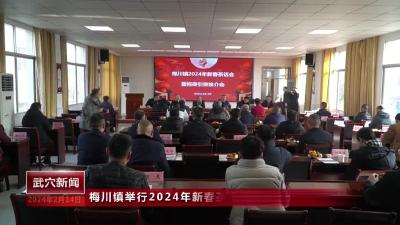 梅川镇举行2024年新春茶话会暨招商引资推介会