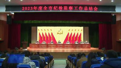 市纪委监委召开2023年度工作总结会