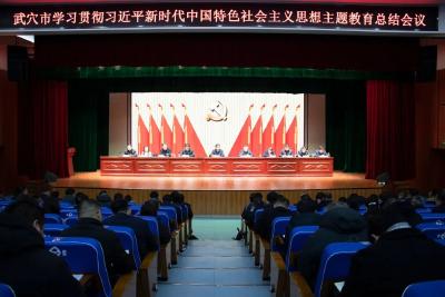 全市学习贯彻习近平新时代中国特色社会主义思想主题教育总结会议召开