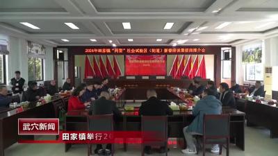 田家镇举行2024年新春茶话会暨招商引资推介会