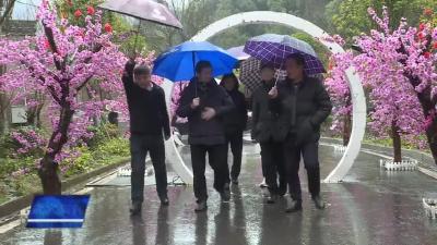 中国西游记文化研究会秘书长蒋回源来我市考察调研匡山西游文化