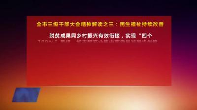 全市三级干部大会精神解读之三：民生福祉持续改善