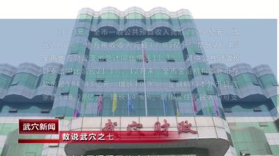 数说武穴之七：财政收支、居民收入持续增加