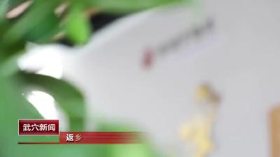 返乡游子喜看梅园新变化