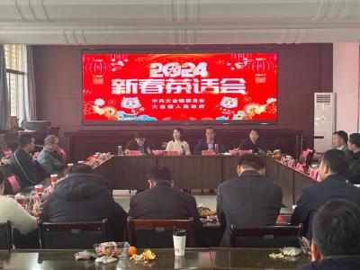 共叙桑梓 同谋发展｜我市各地召开“畅叙桑梓情谊，共创美好武穴”乡贤迎春茶话会（五）