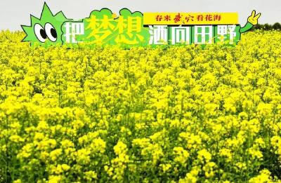 欢迎您——春来武穴看花海