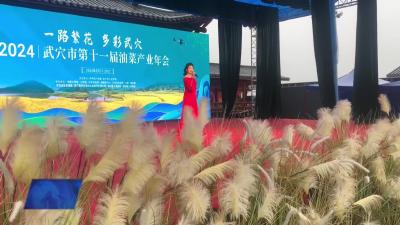 文艺表演精彩纷呈  吸引游客驻足欣赏