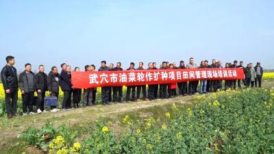 “一促四防” ！武穴抢抓时节保油菜丰产丰收