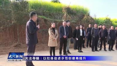 大法寺镇：以拉练促进示范创建再提升