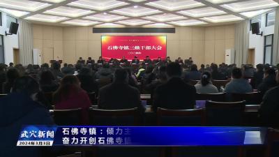 石佛寺镇：倾力主攻强县工程和乡村振兴奋力开创石佛寺镇高质量发展新局面