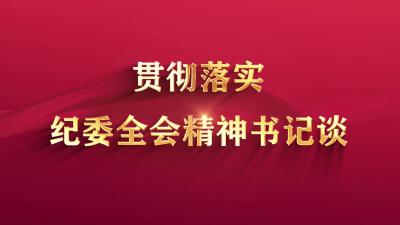 花桥镇：坚持“四个引领”扎实推进全面从严治党 为建设“高铁新区”提供坚强保障