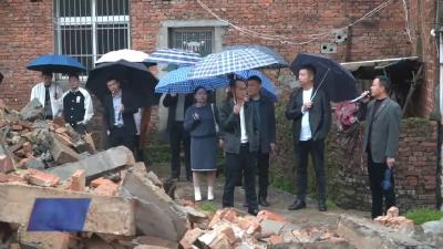大金镇开展乡村振兴示范创建现场拉练