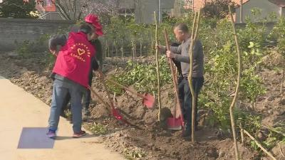武穴街道：携手植树添绿 共建绿色家园