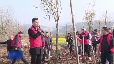 刊江街道龙里社区：齐心协力植树添绿共同建设美好家园