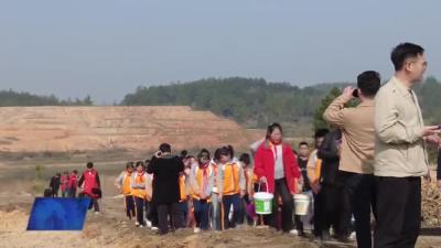 四望镇：义务植树添新绿 发展油茶助振兴