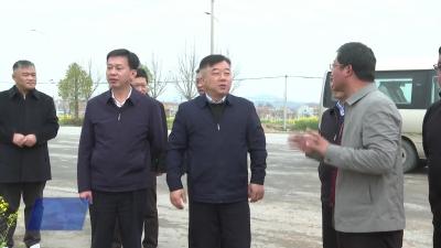 省农业农村厅副厅长皮少成来我市调研