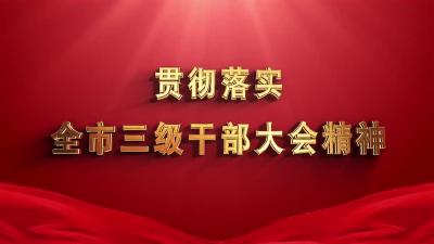 全市三级干部大会在社会各界中引发热烈反响之七