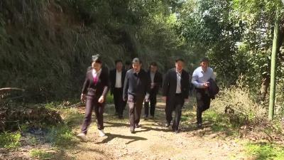 胡昊调研匡山西游文化发展并开展巡林督办森林防火工作