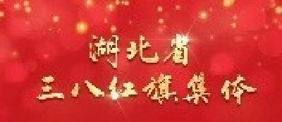 武穴市妇女联合会荣获湖北省三八红旗集体