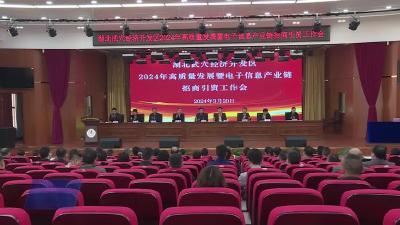 武穴市召开经济开发区2024年高质量发展暨电子信息产业链招商引资工作会
