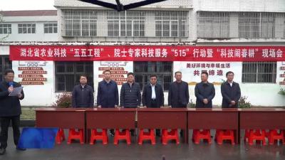湖北省农业科技“五五”工程在我市梅川镇开展