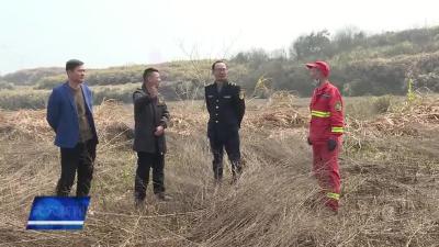 市应急管理局、市自然资源和规划局开展森林防火检查