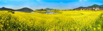 阳春三月好时光，武穴版《繁花》约你来见~