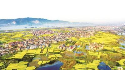 今天，《湖北日报》整版聚焦报道武穴