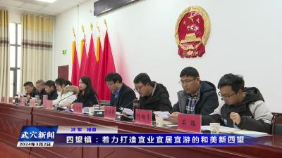四望镇：着力打造宜业宜居宜游的和美新四望