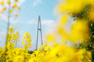 全国桥梁创新工程！武穴长江公路大桥入选