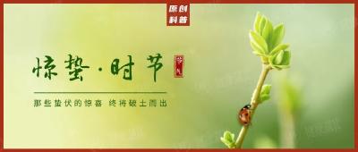 惊蛰节气丨换季狂掉发？中医提醒这样做护发又养肝!