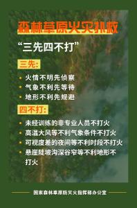 一地突发山火！紧急提示
