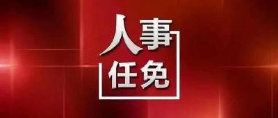 武穴市人民代表大会常务委员会任免名单