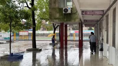 市妇联：“女童保护”进校园 呵护花蕾助成长