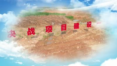 武穴街道梦幻水世界项目：紧盯目标，全速推进项目建设