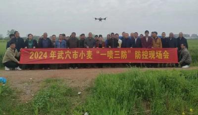 “一喷三防”田管忙！ 武穴科学防护保夏粮