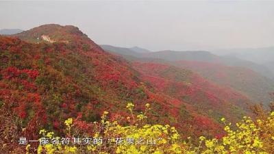 《匡山话西游》，足以媲美央视大片！！！
